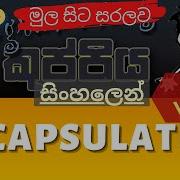 Encapsulation Object Oriented Programming OOP Sinhala Tutorial Part 18