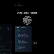 Image Hover Effect Animation HTML CSS