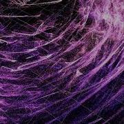 3D Vector Field