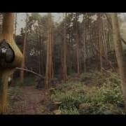 Tree Tracking Studies 2
