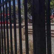 Adelaide Metro OUTHA Arriving At Croydon