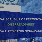 Digital Scale Up Of Microbial Fermentation On Spreadsheet Part 2 Fed Batch Optimization