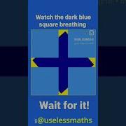 Breathing Square Illusion Paradox Opticalillusion Illusioneottica Illusione Breath Respiro