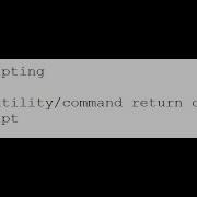 03 03 Bash Script Using A Command Return Code In Script Logic