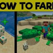 Ultimate Guide To TURTLES How To Farm Them In Minecraft