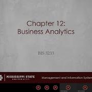 BIS 3233 Chapter 12 Business Analytics