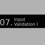 07 Input Validation Issue I DIVA