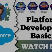 Platform Development Basics Salesforce Trailhead Quiz Solution