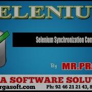 Selenium Synchronization Commands
