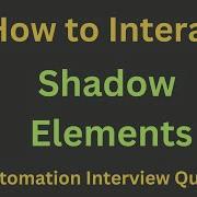 How To Interact With Shadow Elements In Selenium 4