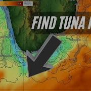 Master SST Chlorophyll Maps Advanced SatFish Tips For Offshore Fishing Success