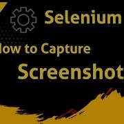 18 Selenium Java Capture Screenshot