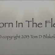 Thorn In The Flesh Gospel Song