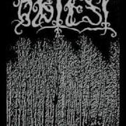 Obtest Oldness Coming