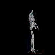 A Visual3D Model Of Lifting