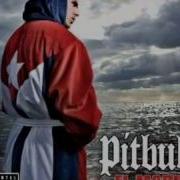 Danny Fernandes Feat Pitbull Private Dancer