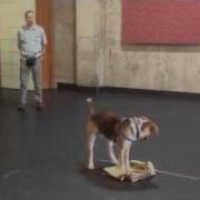 Shaping By Successive Approximation