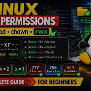 Linux File Permissions Explained Chmod Chown Rwx Beginner Guide