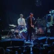 Spector Paradiso Never Fade Away