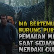 Saat Sedang Mendaki Gunung Pria Ini Malah Bertemu Burung Pemakan Manusia Alur Cerita Film