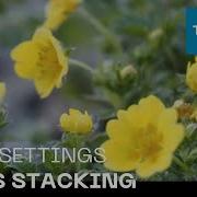 OM 5 Settings Focus Stacking