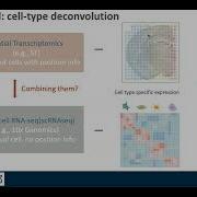 Spatially Informed Cell Type Deconvolution For Spatial Transcriptomics