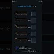 CSS Border Styles Explained Elevate Your Web Design