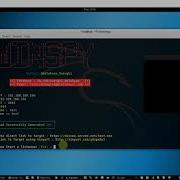 Create A Windows Reverse Shell Backdoor Using WinSpy