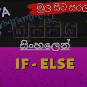 If Else Java Sinhala Tutorial Part 08