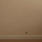 Bouncing Ball Height Reference 1