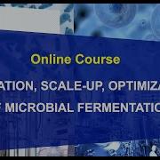 Online Course Simulation Scale Up And Optimization Of Microbial Fermentation