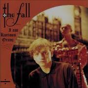 Wrong Place Right Time The Fall