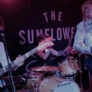 Slydigs Light The Fuse Live At The Sunflower Lounge Birmingham 4K
