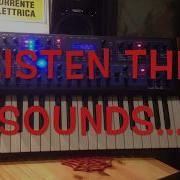 EVOLVER MONOPHONIC KEYBOARD By Dave Smith Instruments UN OFFICIAL DEMO