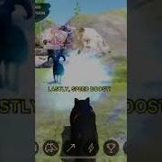 Skills I Can T Live Without In The Wolf