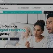 Bizconmy Theme Setup Wizard