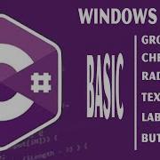C Windows Form CheckBox RadioButton