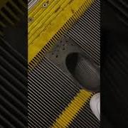 Cinderella Lost Her Croc On Disneyland Escalator