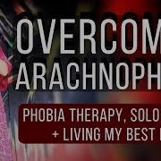 Overcoming My Fear Of Spiders Arachnophobia