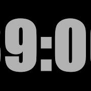 39 MINUTE TIMER LOUD ALARM