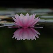 Morning Reflection Day 3 Ajahn Sumedho Talks 12 Day Meditation Retreat Theravada Buddhism