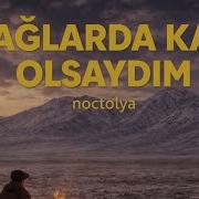 Dağlarda Kar Olsaydım
