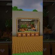 Minecraft Frog Terrarium