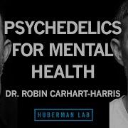 The Science Of Psychedelics For Mental Health Dr Robin Carhart Harris