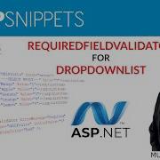 Using RequiredFieldValidator For DropDownList In ASP Net