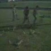 Monty Python Twit Olympics