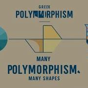 Polymorphism In Python The Ultimate Game Changer For Coders Videos Video Ytvideo Polymorphism