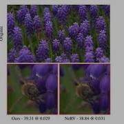 Video Compression With Entropy Constrained Neural Representations