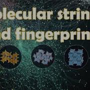 13 Molecular Strings And Fingerprints RDKit Tutorial