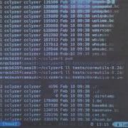 Hands On With CClyzer
